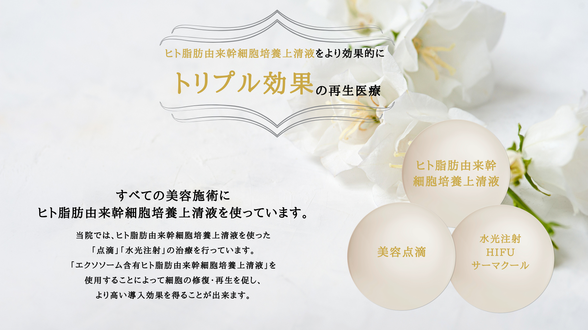 すべての美容施術に
ヒト脂肪由来幹細胞培養上清液を使っています。当院では、ヒト脂肪由来幹細胞培養上清液を使った
「点滴」「水光注射」の治療を行っています。
「エクソソーム含有ヒト脂肪由来幹細胞培養上清液」を
使用することによって細胞の修復・再生を促し、
より高い導入効果を得ることが出来ます。