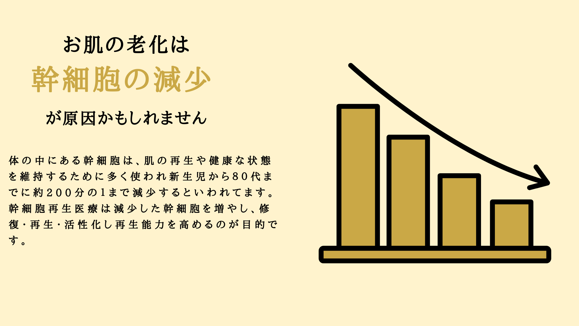 体の中にある幹細胞は、肌の再生や健康な状態を維持するために多く使われ新生児から80代までに約200分の1まで減少するといわれてます。幹細胞再生医療は減少した幹細胞を増やし、修復・再生・活性化し再生能力を高めるのが目的です。