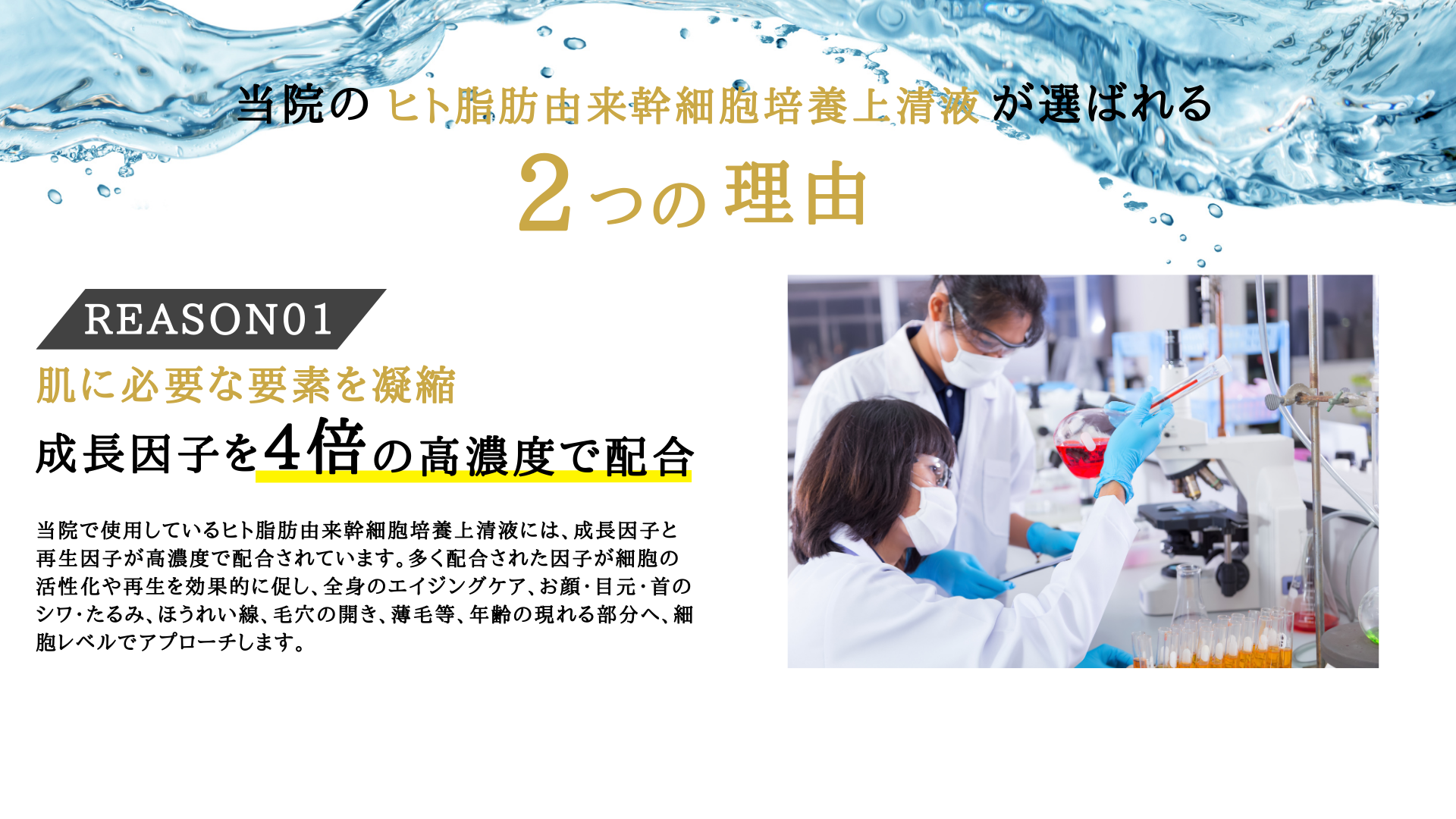 当院で使用しているヒト脂肪由来幹細胞培養上清液には、成長因子と再生因子が高濃度で配合されています。多く配合された因子が細胞の活性化や再生を効果的に促し、全身のエイジングケア、お顔・目元・首のシワ・たるみ、ほうれい線、毛穴の開き、薄毛等、年齢の現れる部分へ、細胞レベルでアプローチします。